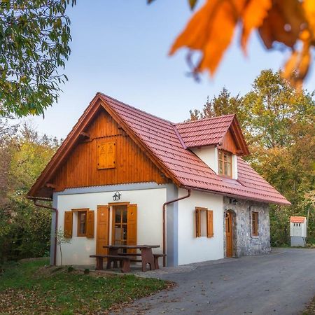 Trebelno Vineyard Cottage Vina In Medu المظهر الخارجي الصورة